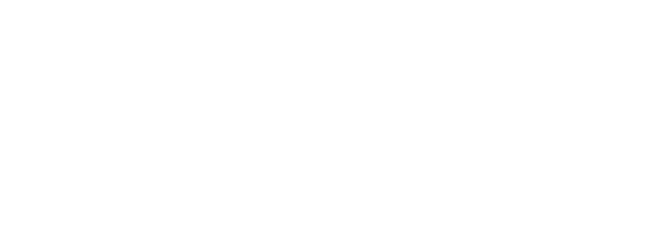 BitPay